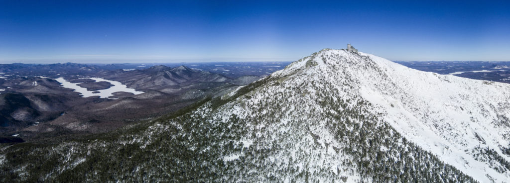 Whiteface